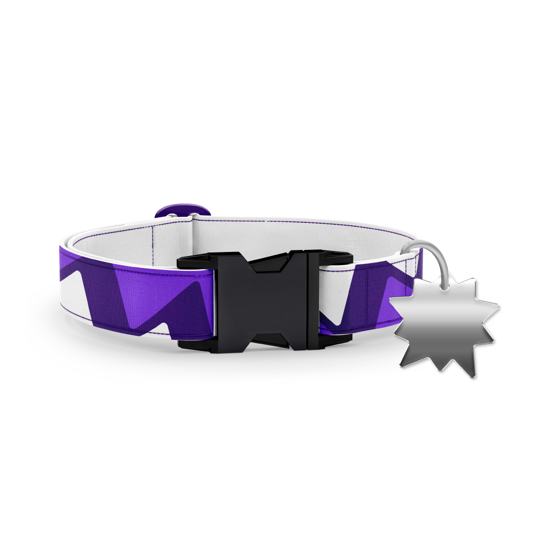 Bruno's Collar