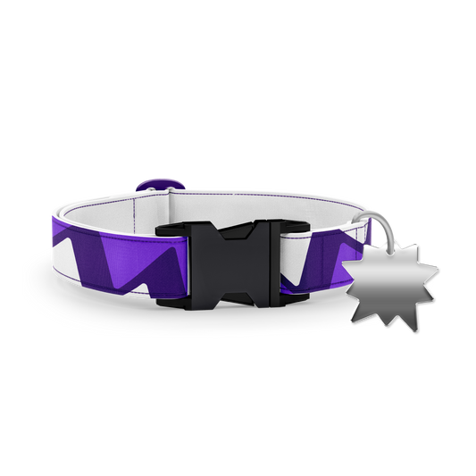 Bruno's Collar