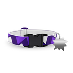 Load image into Gallery viewer, Bruno&#39;s Collar
